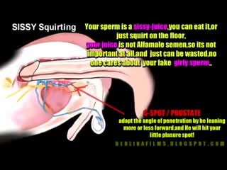 g-spot in men. how is the prostate stimulated during anal sex?